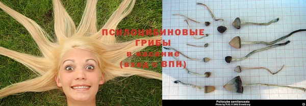 амфетамин Новозыбков