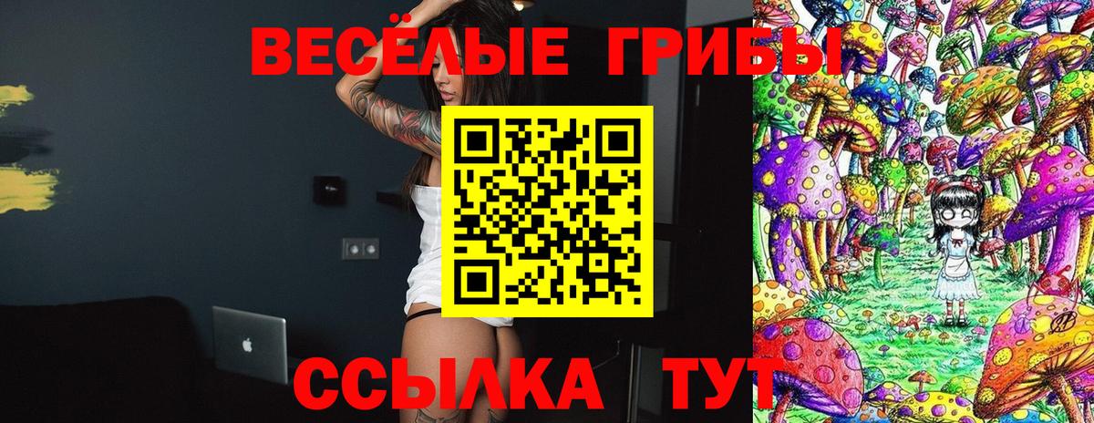 Галлюциногенные грибы Magic Shrooms  Вход с VPN  Ковров 